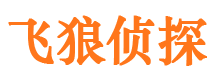 浦口侦探